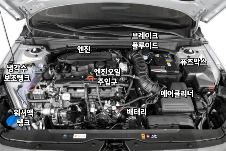 스토리 - 현대Shop | 현대자동차 공식 온라인몰, 블루멤버스포인트 사용.